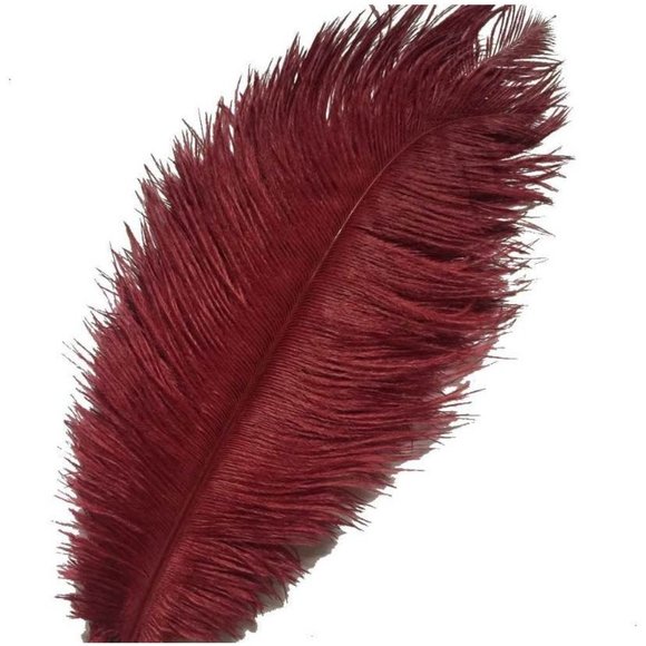 10 pack - Burgundy Feathers 12-14 inches for Wedding Party Centerpieces Decor - Picture 1 of 2